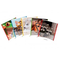 Caiet A5, 48 file - 80g/mp,...