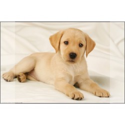 Mapa birou 38 x 58 cm,...