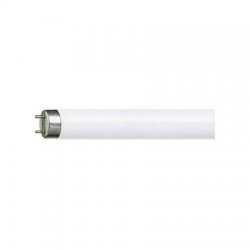 Tub fluorescent T8 36W...