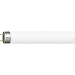 Tub fluorescent T8 58W...